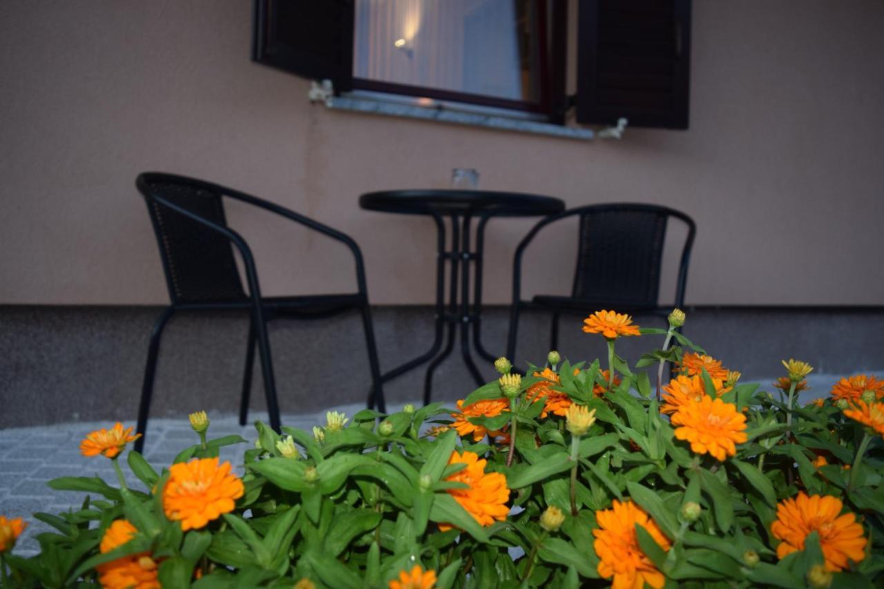 Apartman Nino Novigrad  Exterior foto